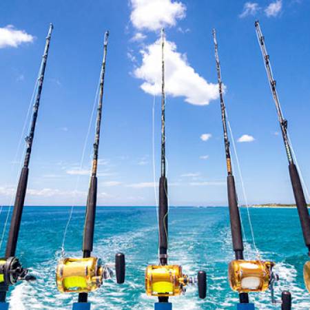 Deep Sea Fishing, Pier Fishing, Fishing Charters, and More