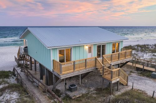 Shell Shack